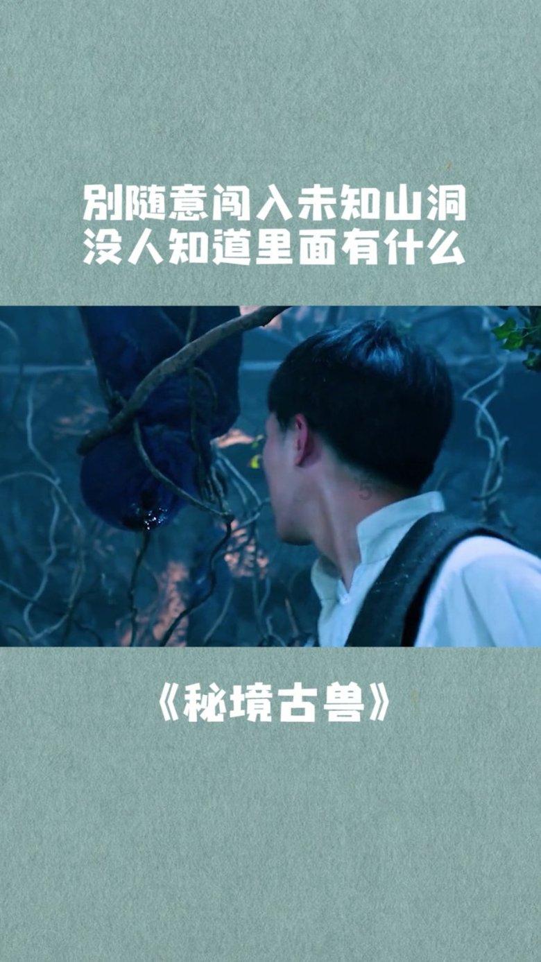 蓝狐视频